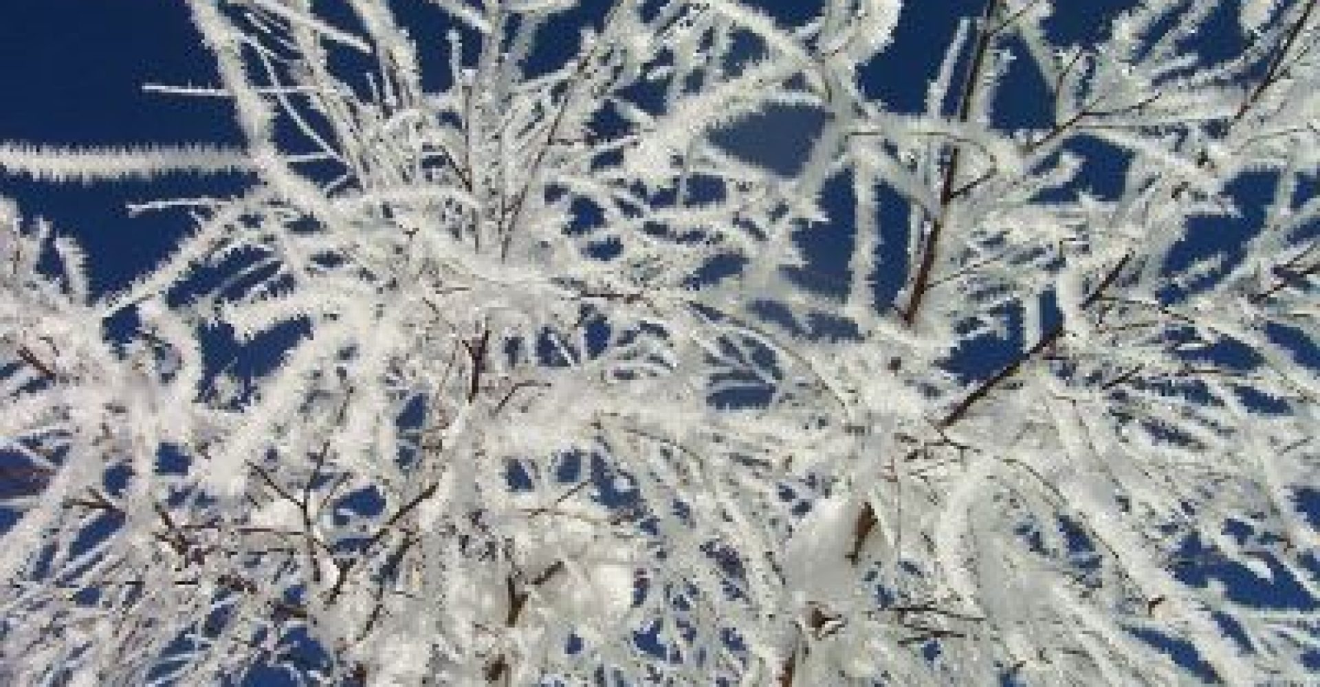 B01_zima_2006_medium